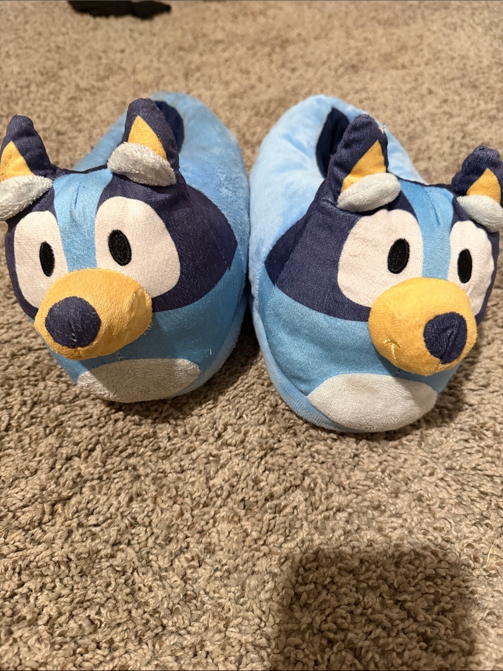 Bluey character plush slippers